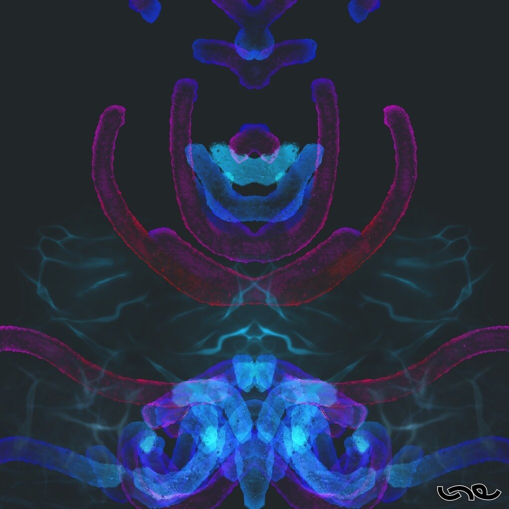 Glowing_Noodles.jpg