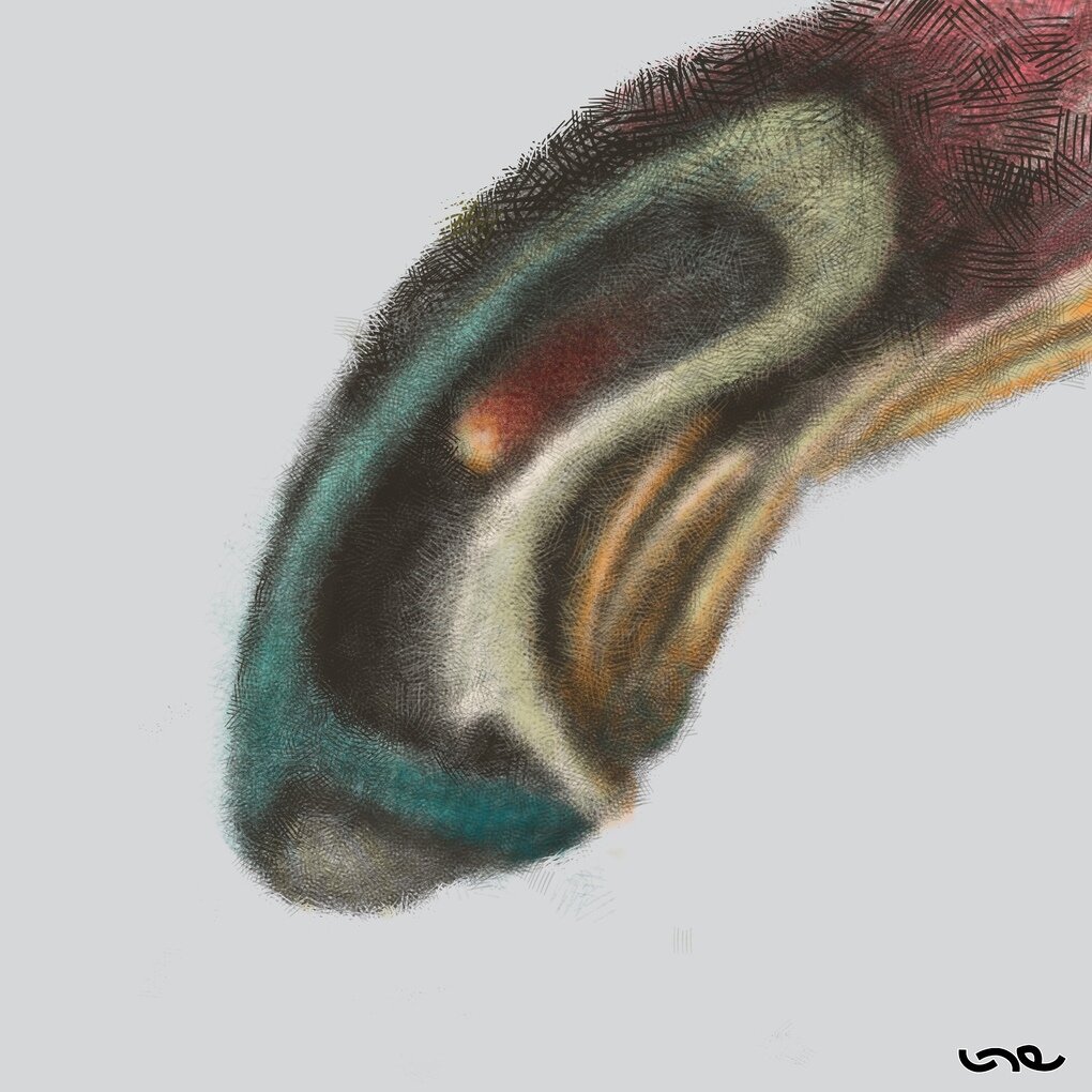Untitled_Artwork.jpg
